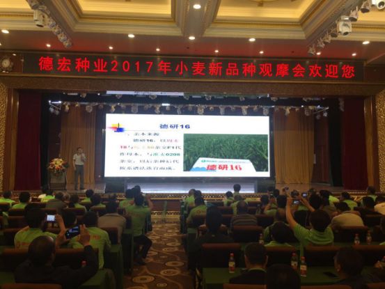 德宏網頁修改1089